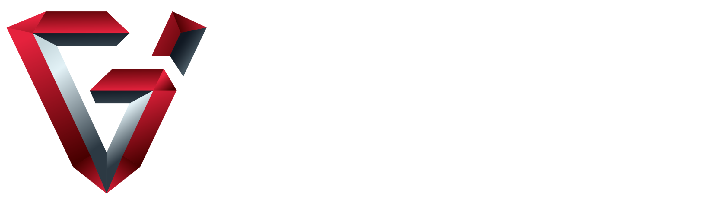Vigor Group